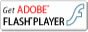 Get ADOBE FLASH PLAYER